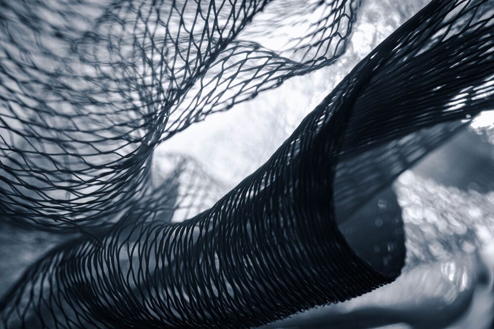 Photograph by Бржозовская Яна