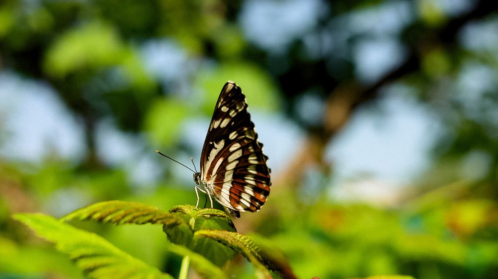 Photograph by Наталья Лобанова