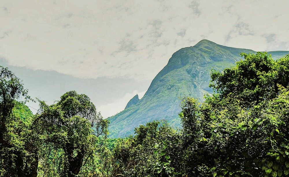 Photograph by Nadarajan Lakshmanswamy
