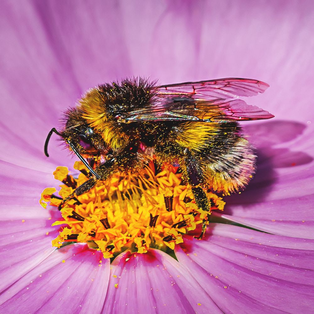 Photograph by Олег Белан