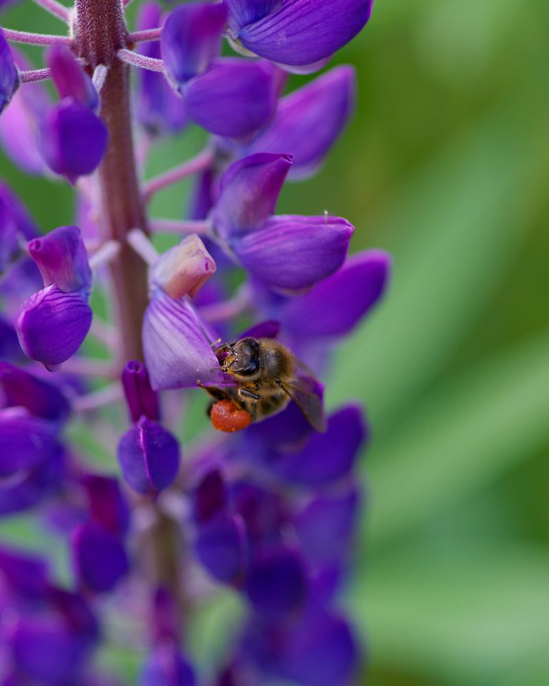 Photograph by Yulia Niki