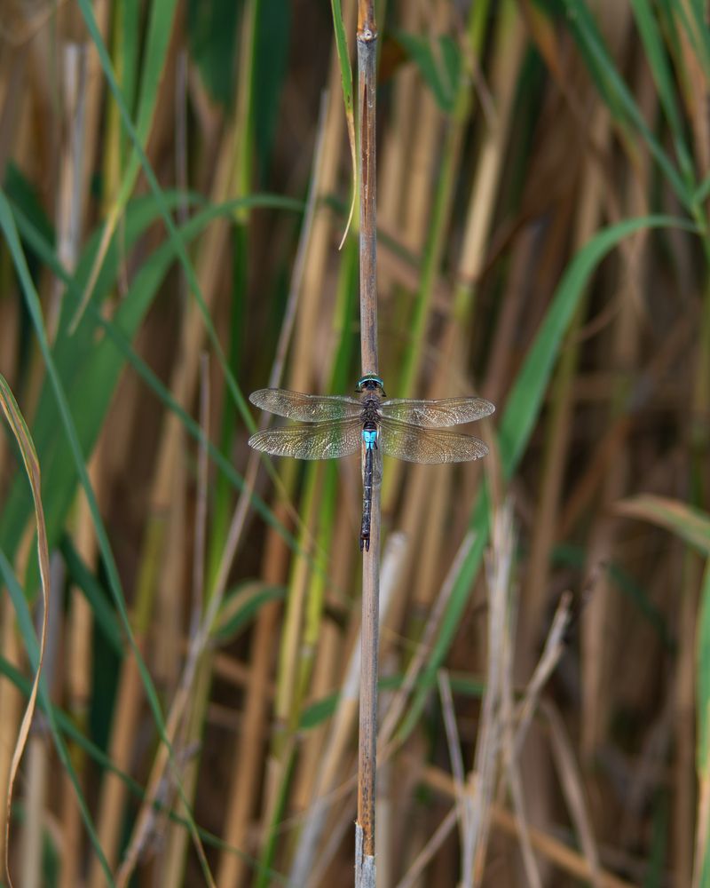 Photograph by Yulia Niki