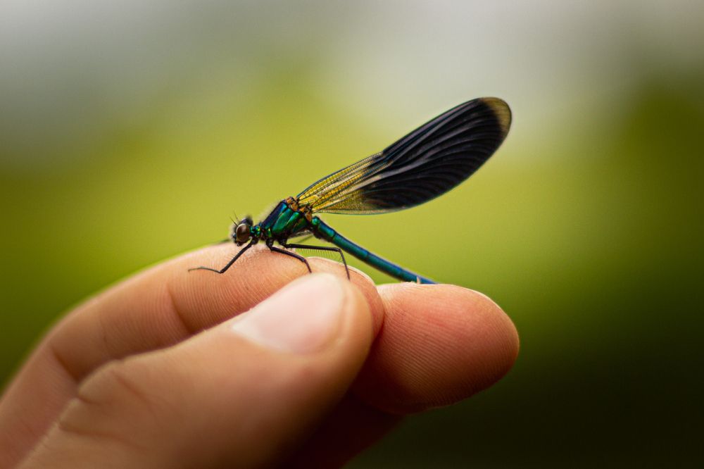 Photograph by Роман Якута