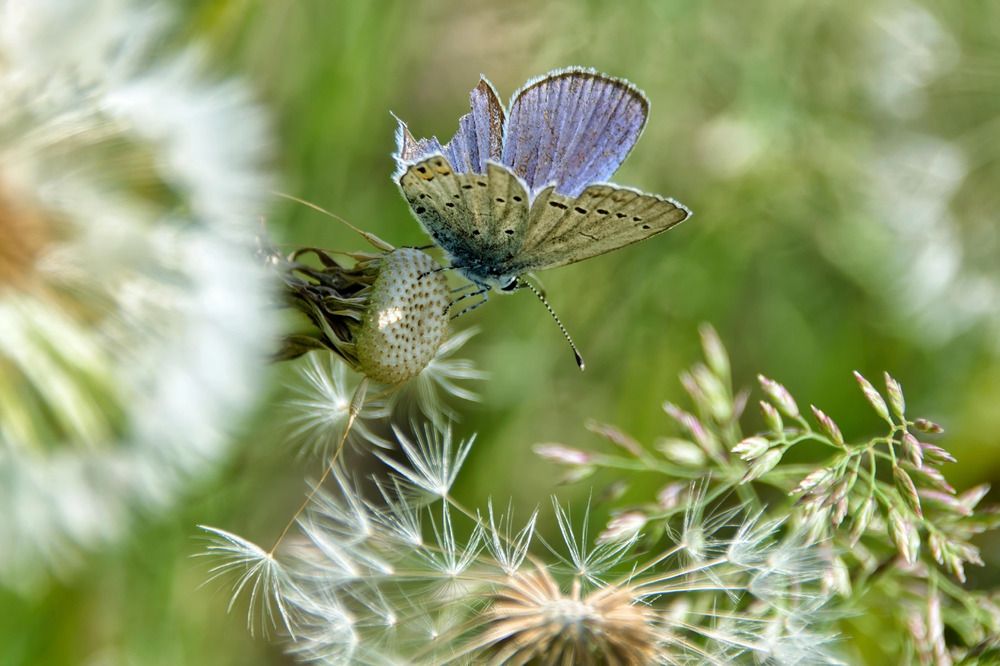 Photograph by Виктория Лобанова