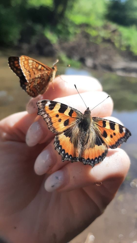 Photograph by Марина Мирошкина