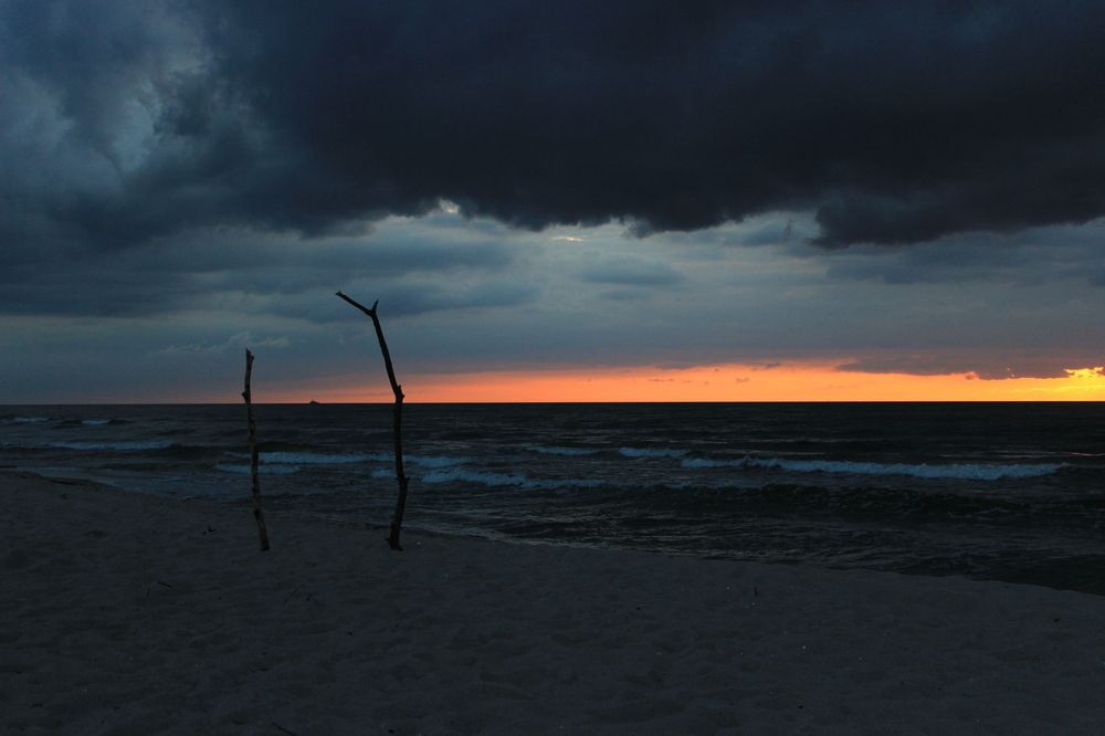 Photograph by Aurora