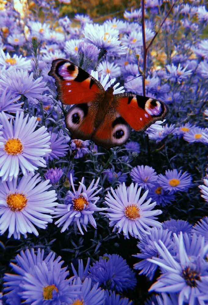 Photograph by Марина Мирошкина