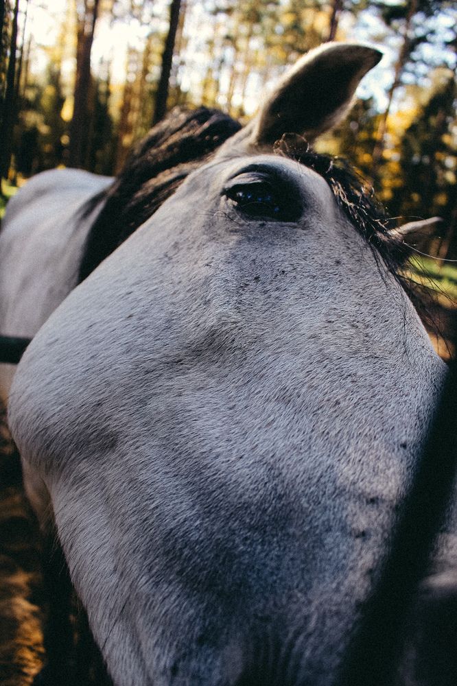 Photograph by Елена Нициевская
