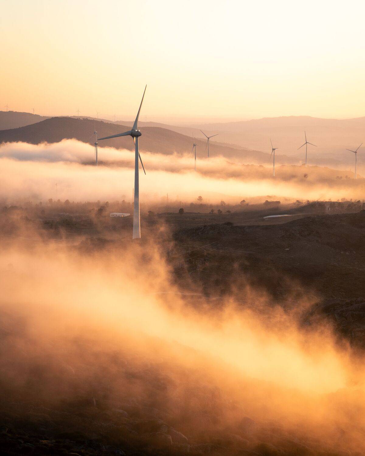 Фотография #12065402