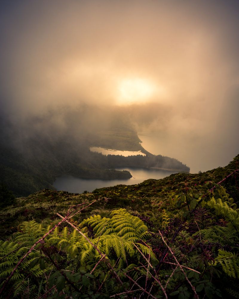 Фотография автора Gabriel Almeida