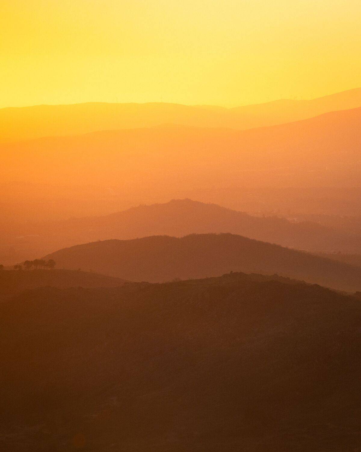 Фотография #12065427