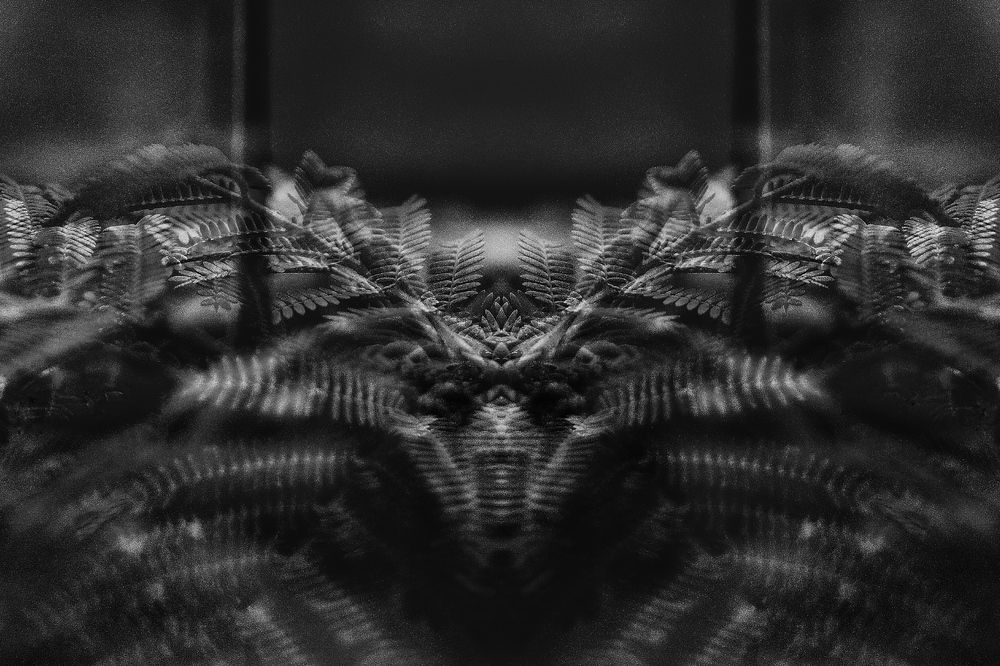 Фотография автора Andrés Valencia