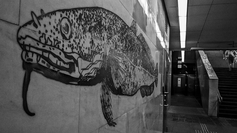 Photograph by Ирина Багдасарова