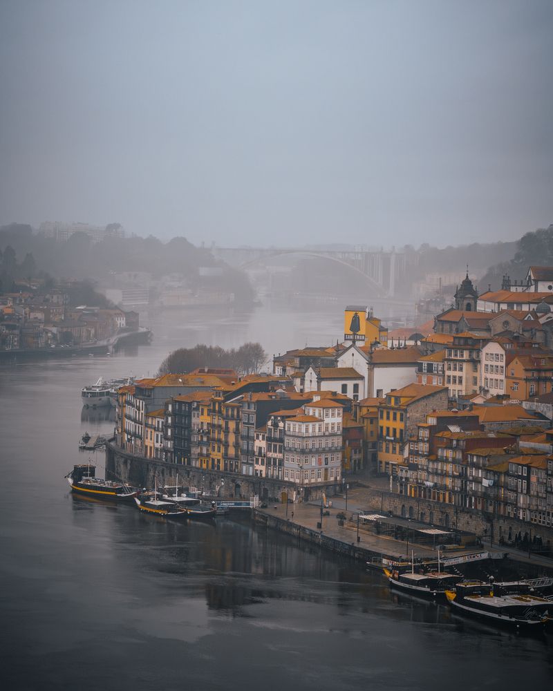 Фотография #12065475