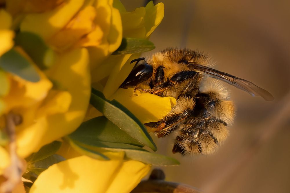 Photograph by Nephotograph