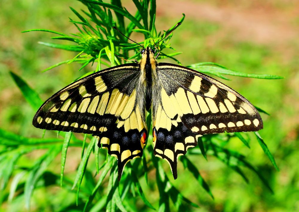 Photograph by Леонид Уральский