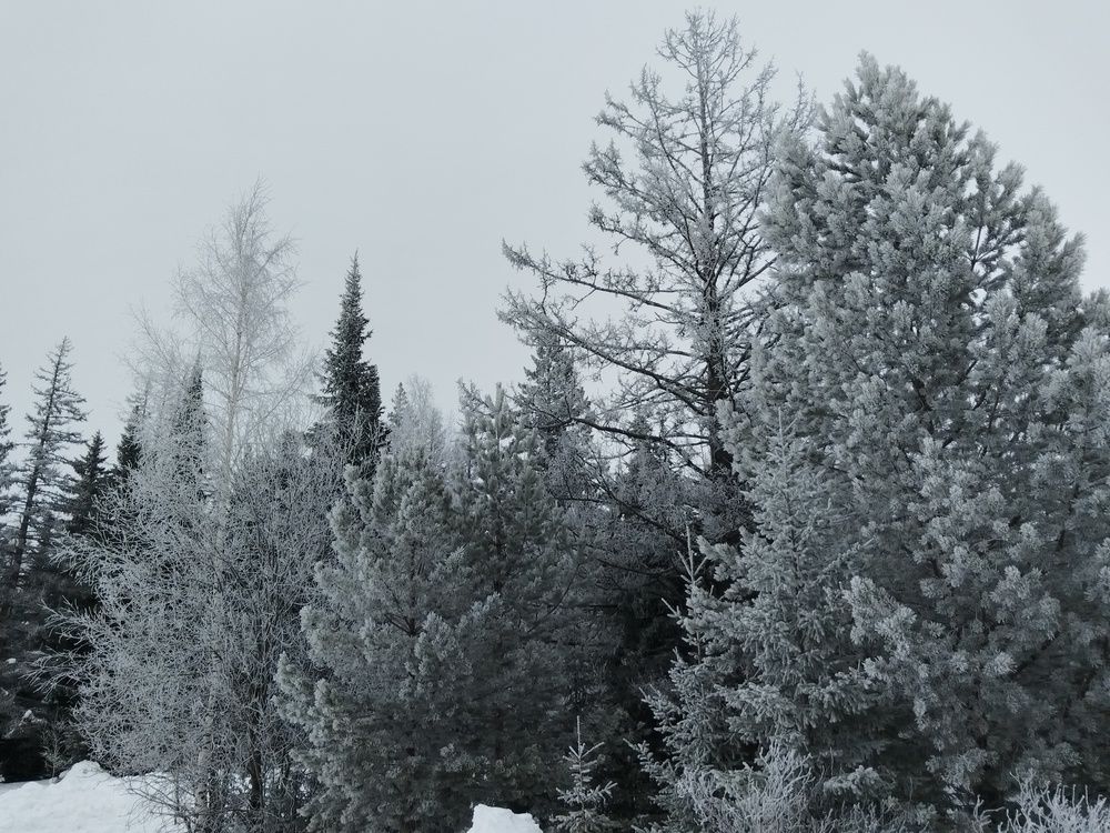 Photo #12065770
