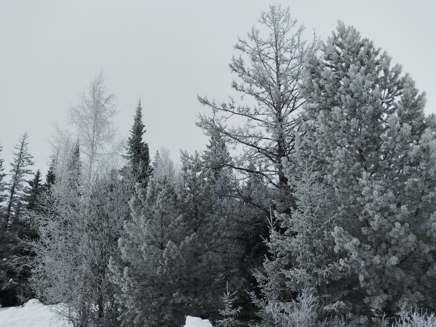 Photo #12065770