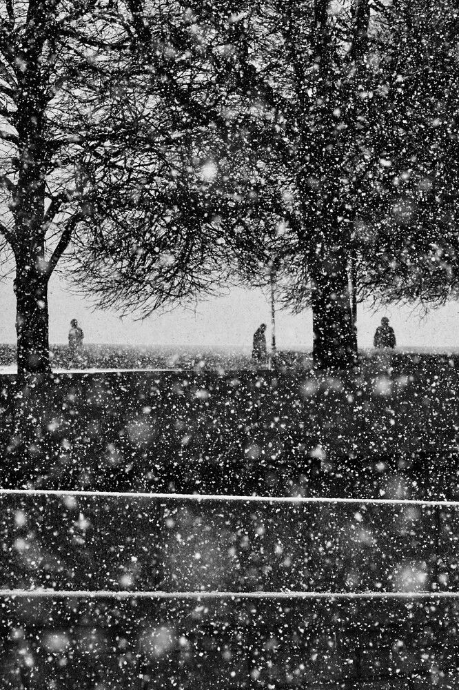 Photograph by Мария Трусова