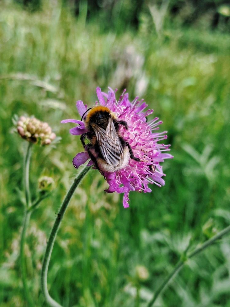 Photograph by Владимир Караман
