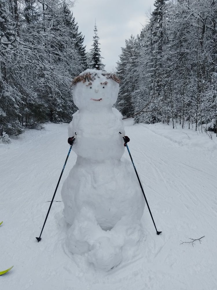Photo #12065841