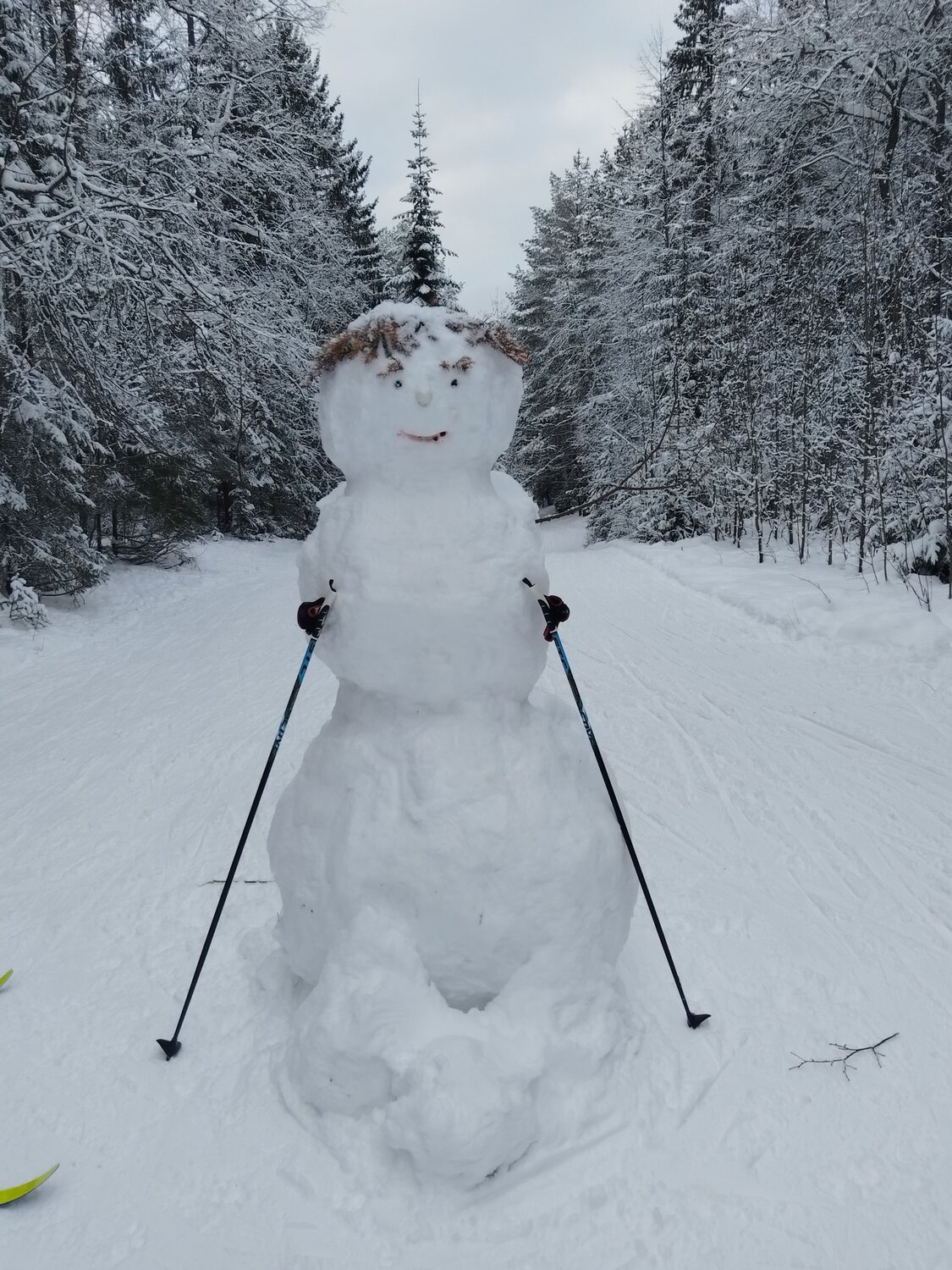 Photo #12065841