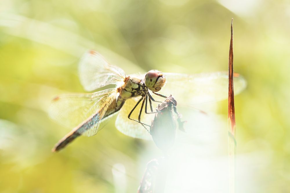 Photograph by Светлана Андреева