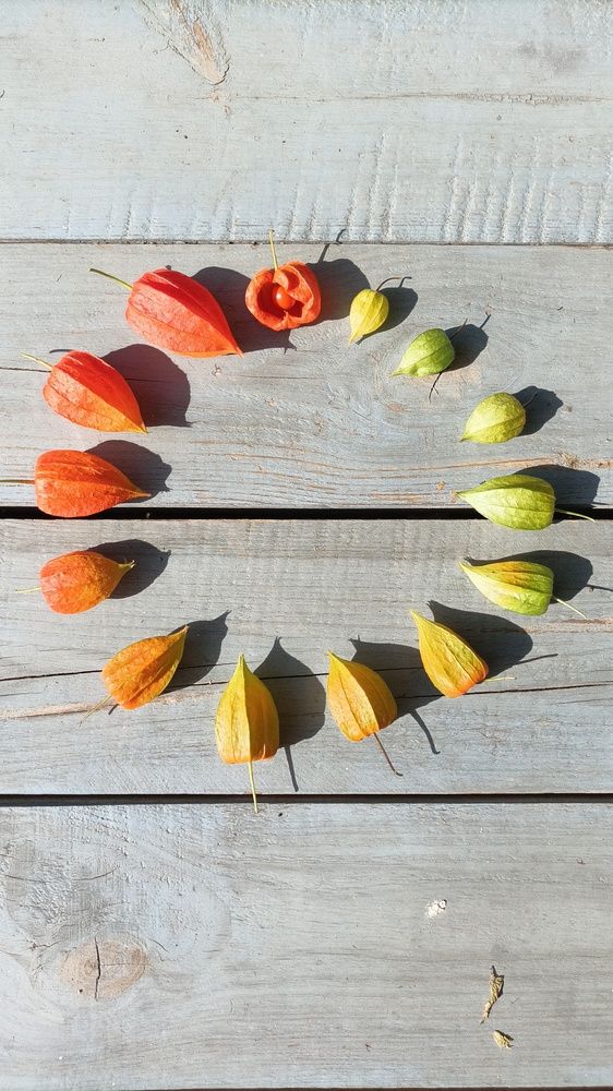 Photograph by Ксения