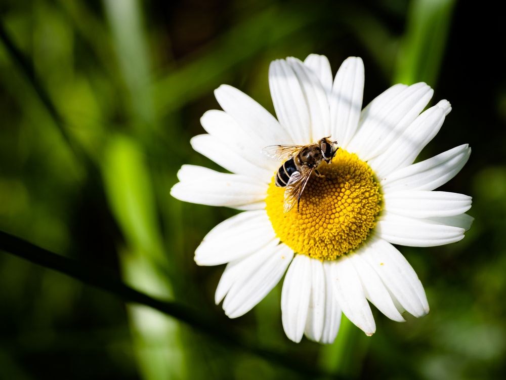Фотография автора Ирина Гриценко