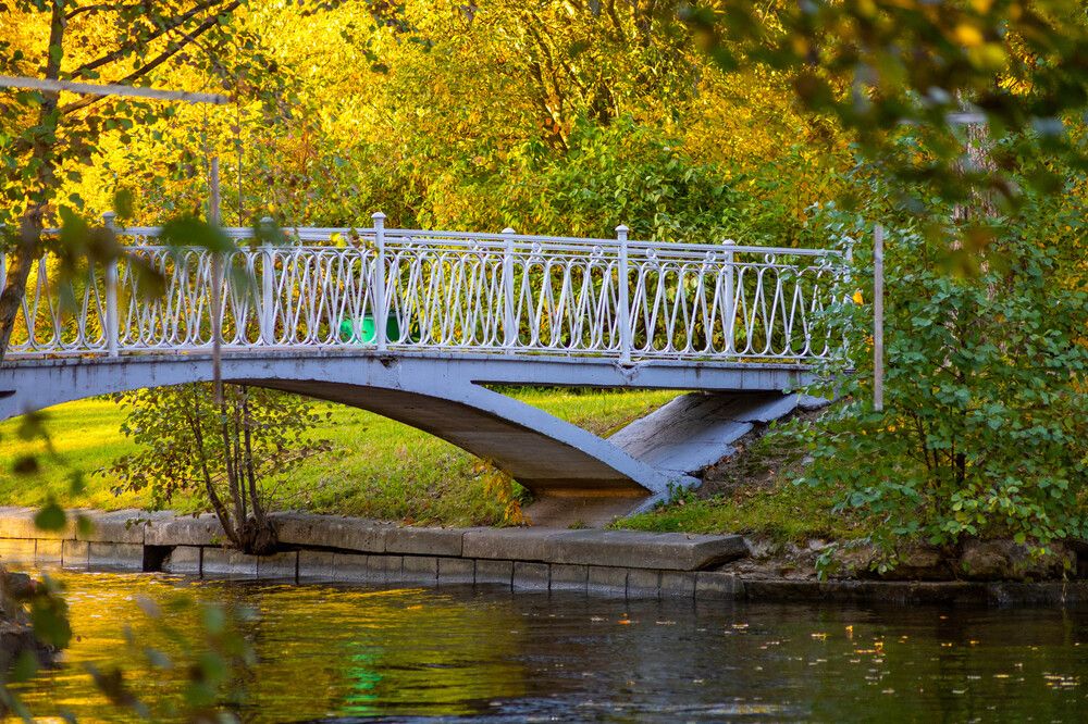 Фотография автора ВЯЧЕСЛАВ