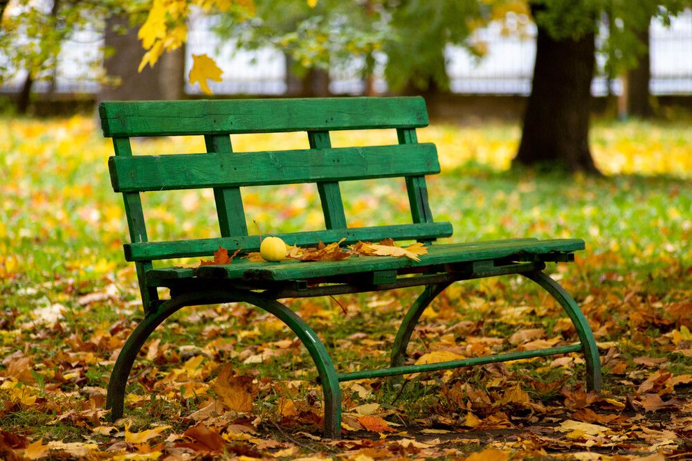 Фотография автора ВЯЧЕСЛАВ