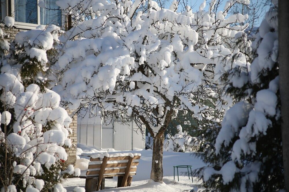 Фотография автора ВЯЧЕСЛАВ