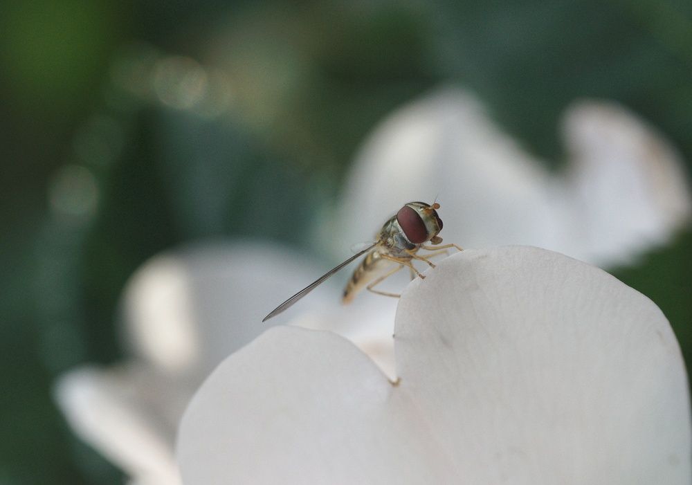 Photograph by Константин Бокарев