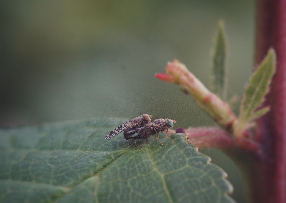 Photograph by Константин Бокарев