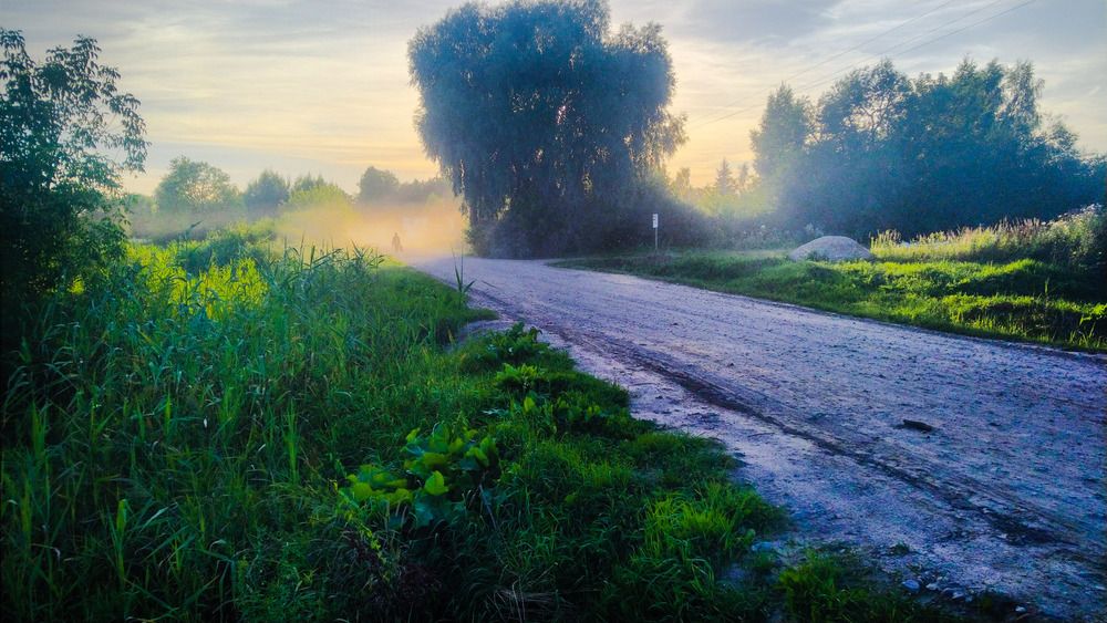 Photograph by Andrejs Peculevics