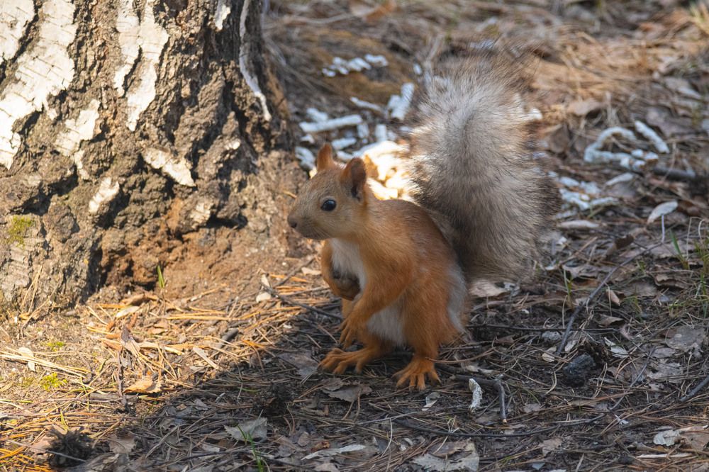 Photograph by Вадим Юрьевич