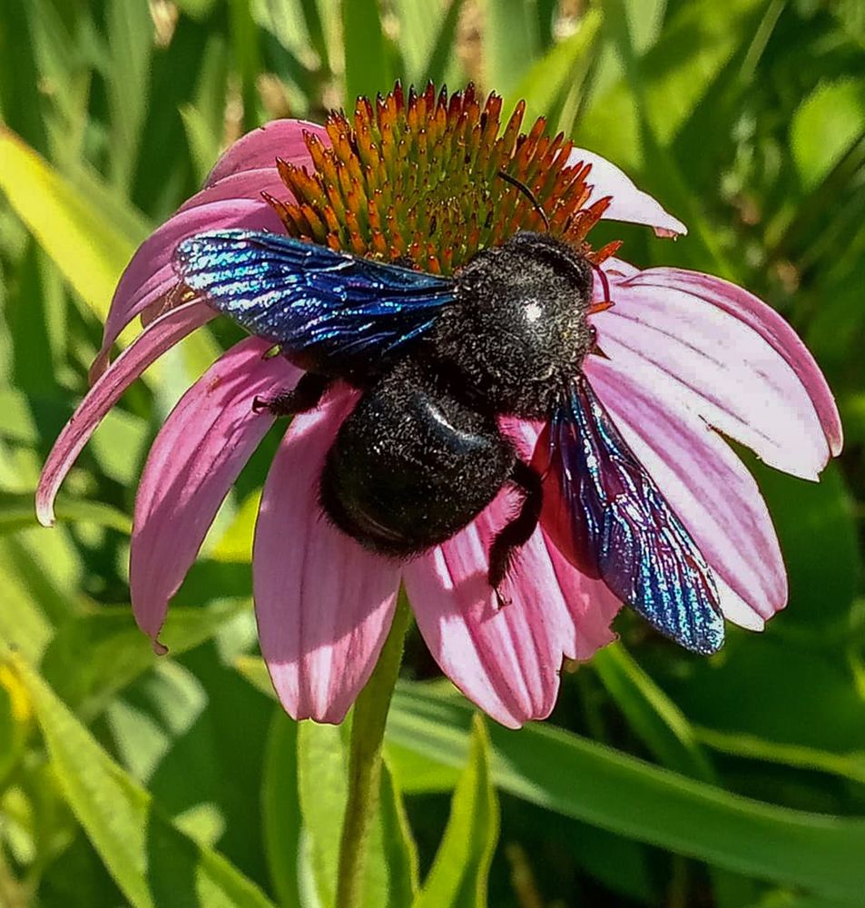 Photograph by Ольга Салтыкова