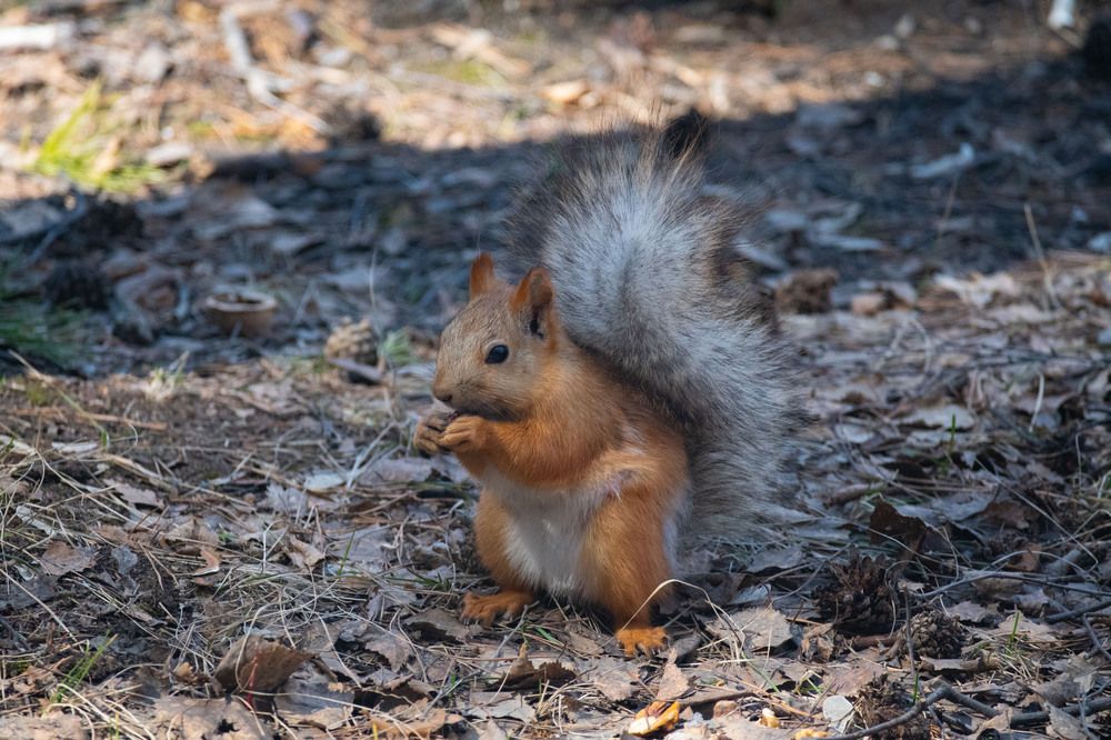 Photograph by Вадим Юрьевич