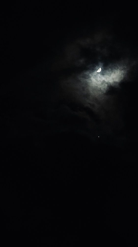 Photograph by Светлана Родионова