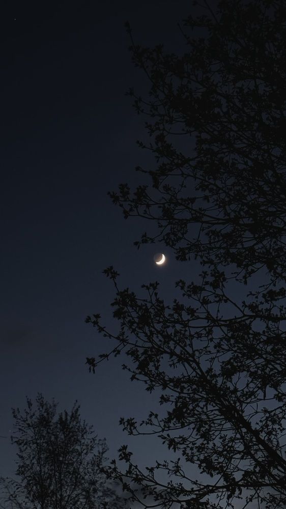 Photograph by Светлана Родионова