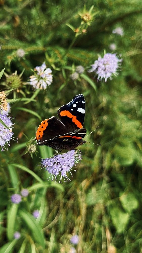 Photograph by Светлана Родионова