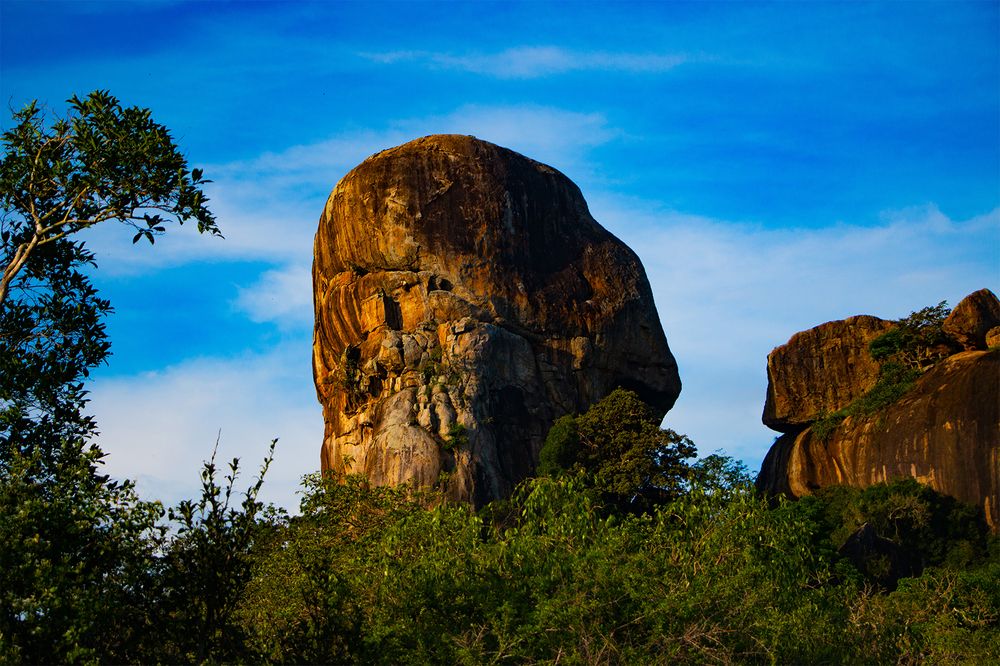 Photograph by Ashen Gunawardena