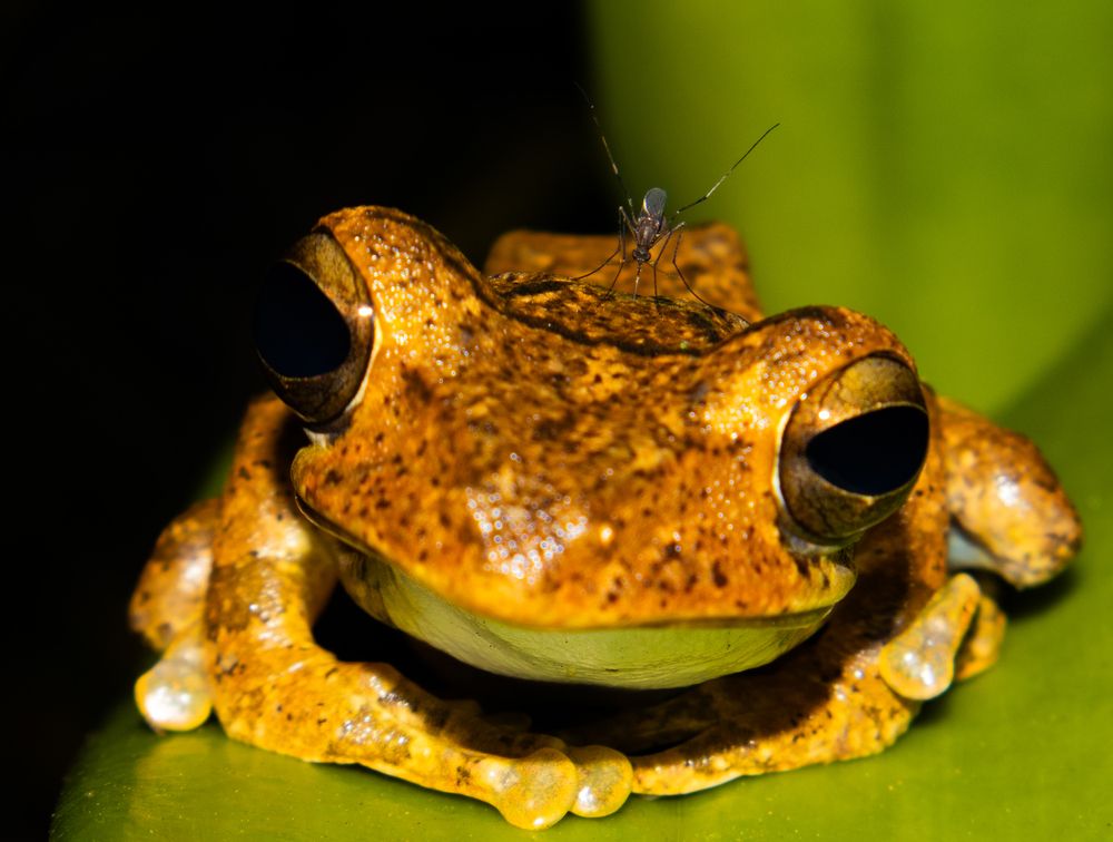 Photograph by Ashen Gunawardena