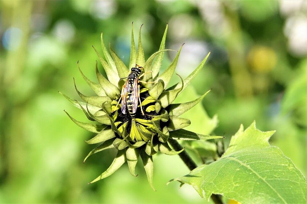Photograph by jelena konickaja