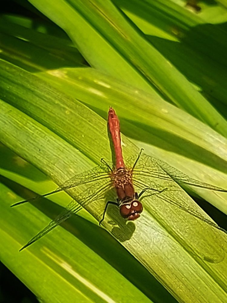 Photograph by Мария Тафеенко