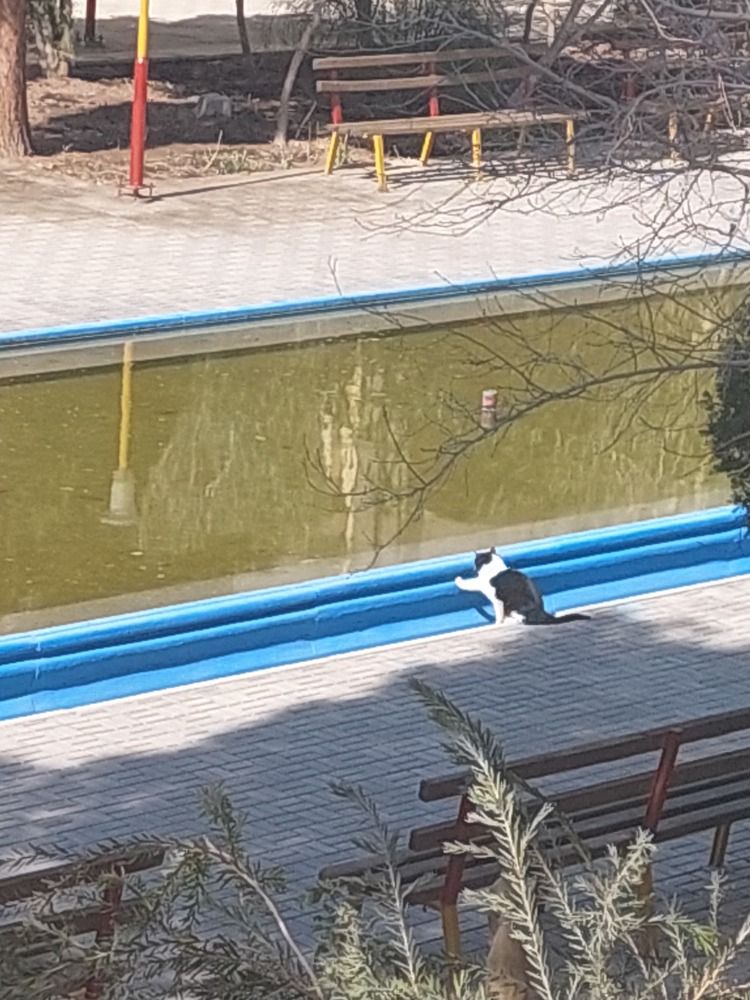 Photograph by reyhaneh zeidabadi nezhad