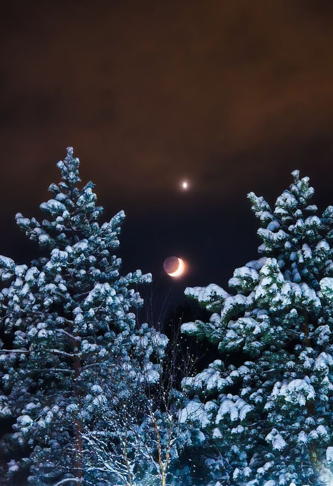 Photograph by Ксения