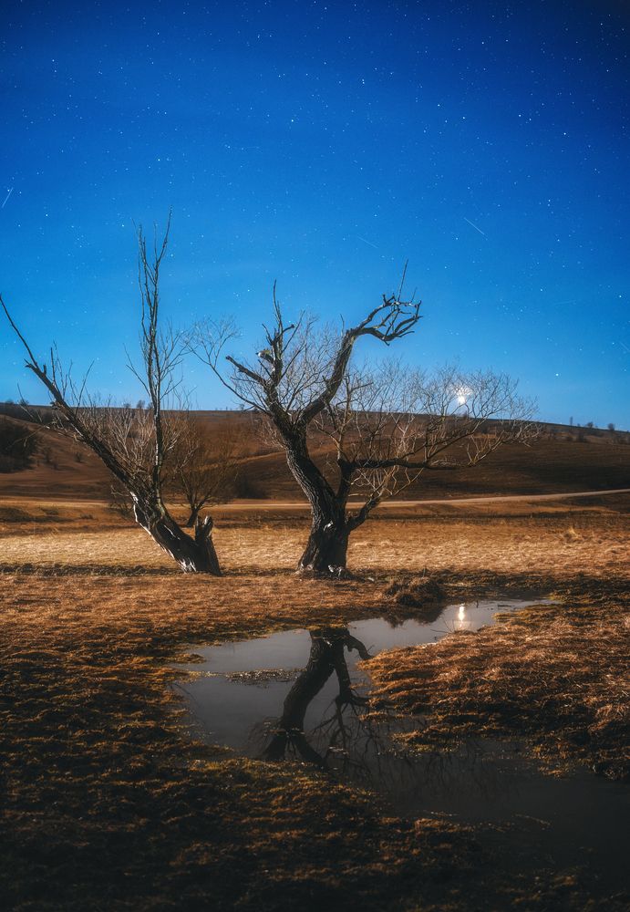 Фотография автора Олег Сухенко