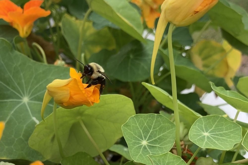 Photograph by Stephanie Stafford