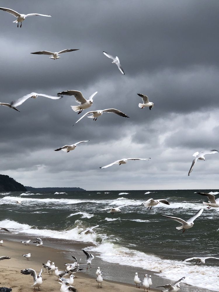 Photograph by Татьяна Чурикова